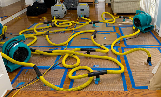 Professional Sewage Cleanup technician working in Edinburg, VA